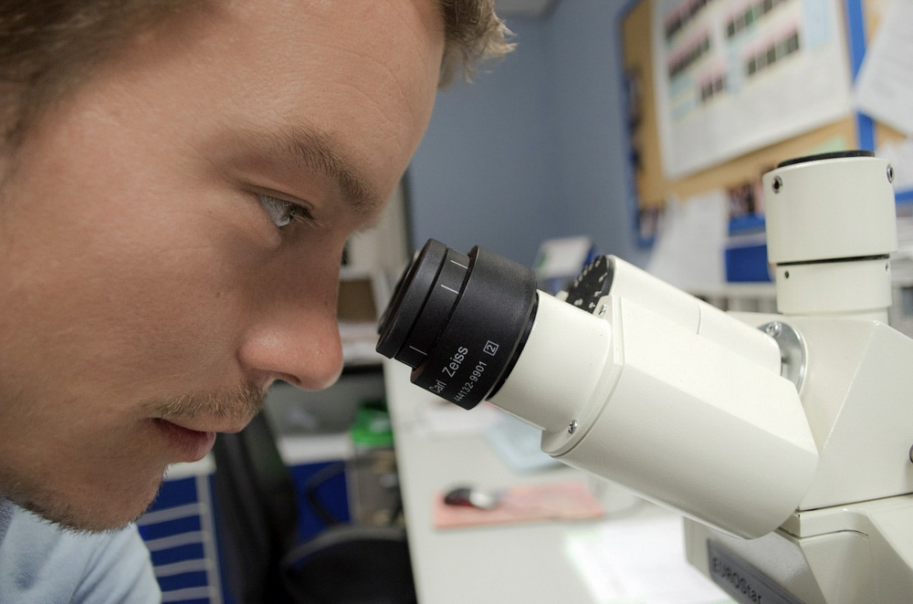 Scientist looking into a microscope