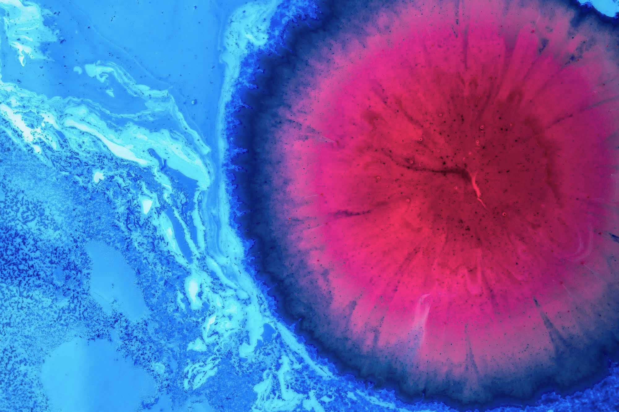 Colourful image of a cell at microscopic scale