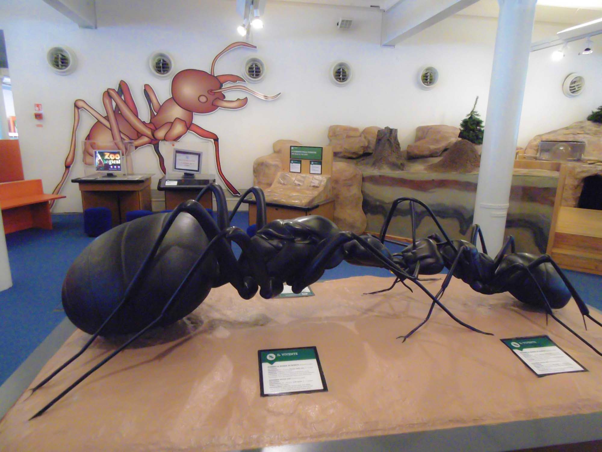 Giant insect models at the museum